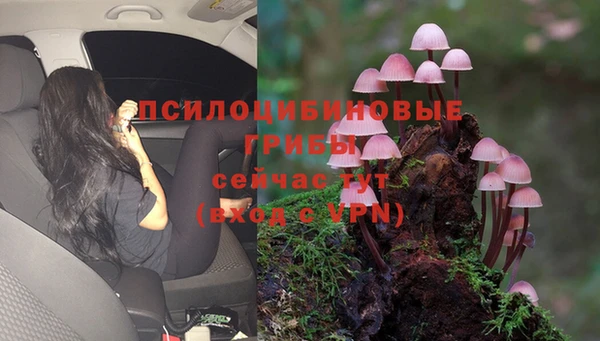 мет Верхний Тагил
